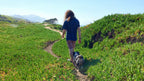 Wander