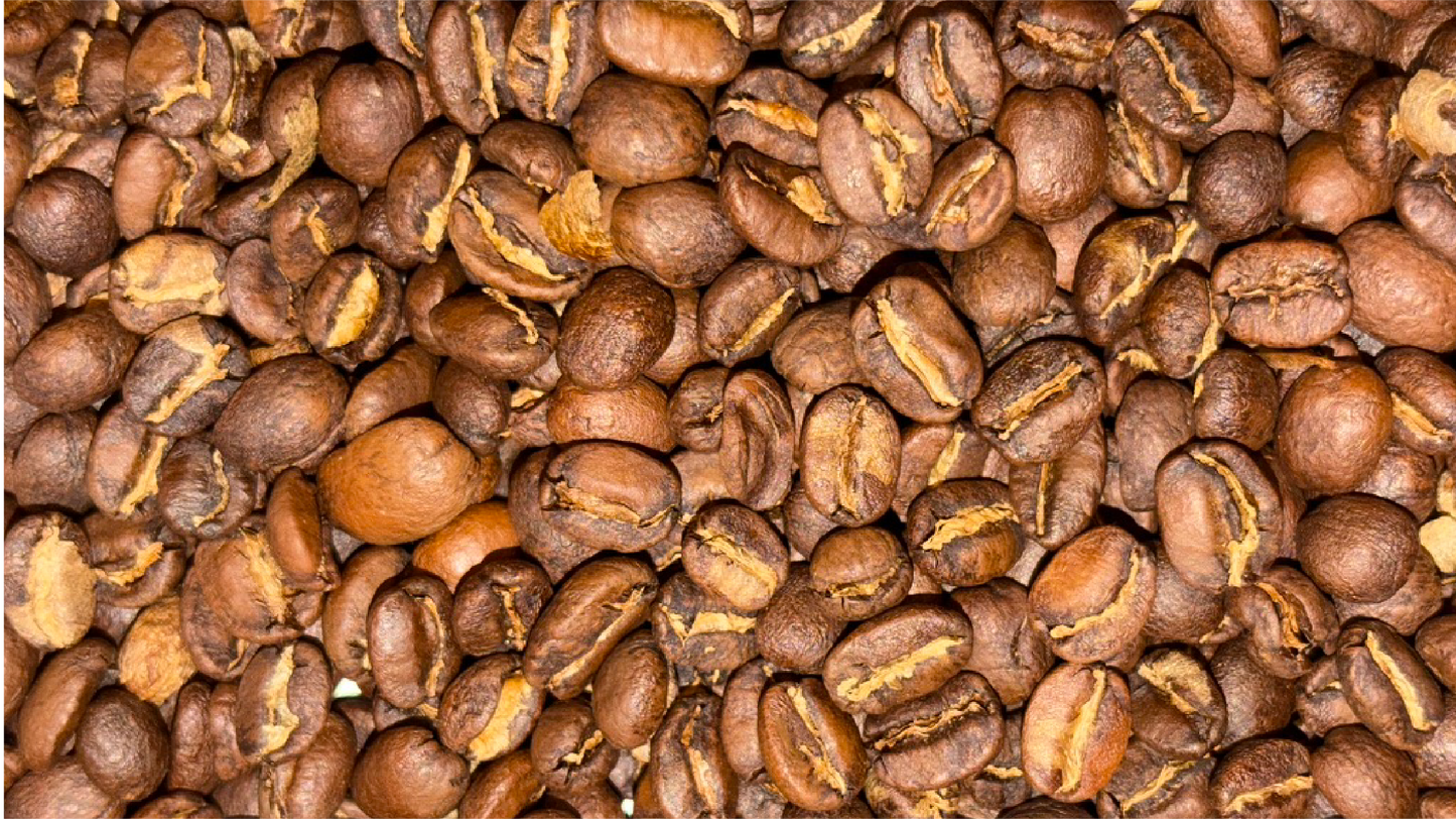 Wander [Friends & Family]