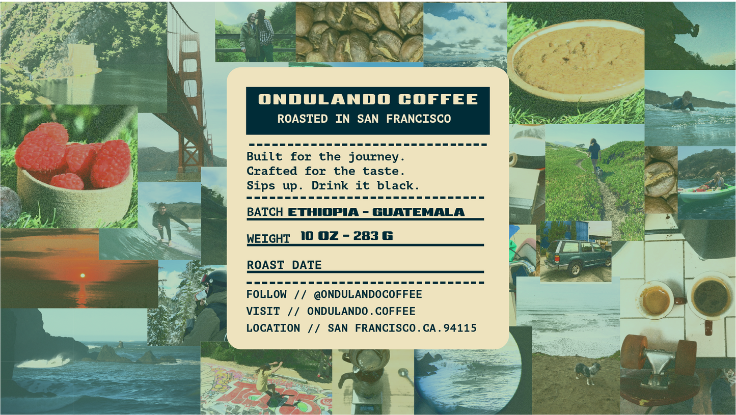 WANDER //Exploration Roast // 10 OZ BAG