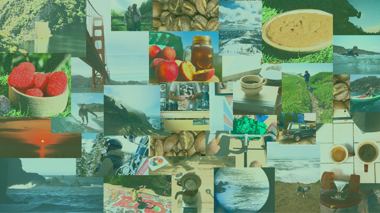 Wander [Friends & Family]