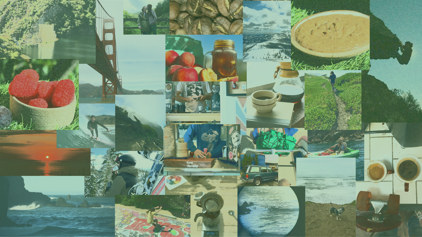 WANDER //Exploration Roast // 10 OZ BAG